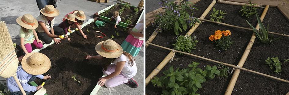 I Premio Huertos Escolares Ecológicos