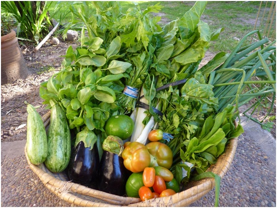 10 alimentos que es aconsejable sean de origen orgánico y ecológico