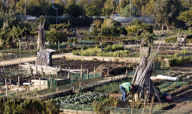 Aprobada la convocatoria del aprovechamiento de 28 huertos sociales ecológicos en el Parque Guadaíra