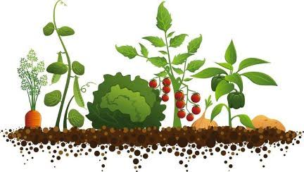 La agroecología es la solución para alimentar a la población hoy y en el futuro