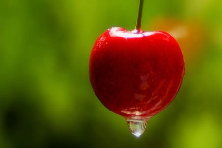 Nace "Organics Extremadura" para captar la demanda de productos ecológicos