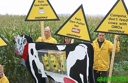 El Congreso de los Diputados pide al Gobierno aumentar el control y seguimiento de transgénicos