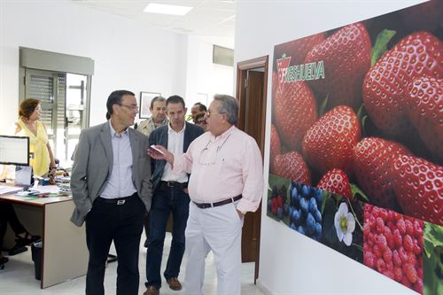 Andalucía. Diputación pretende exportar la marca Huelva por toda Europa a través de los transportistas de fresas