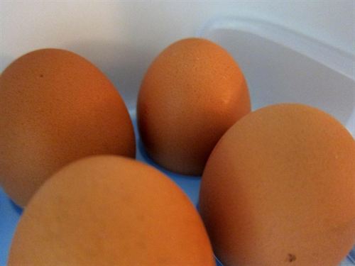 Estafa a gran escala con huevos ecológicos en Alemania