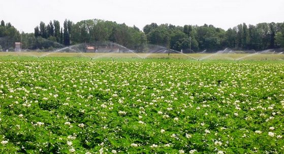 Andalucia facilitará el riego de cultivos agrícolas en el Andévalo Transfronterizo