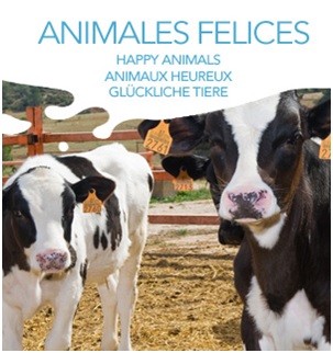 Te desvelamos el mayor secreto de ‘El Cantero de Letur’