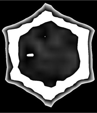 Los secretos de las abejas para hacer miel