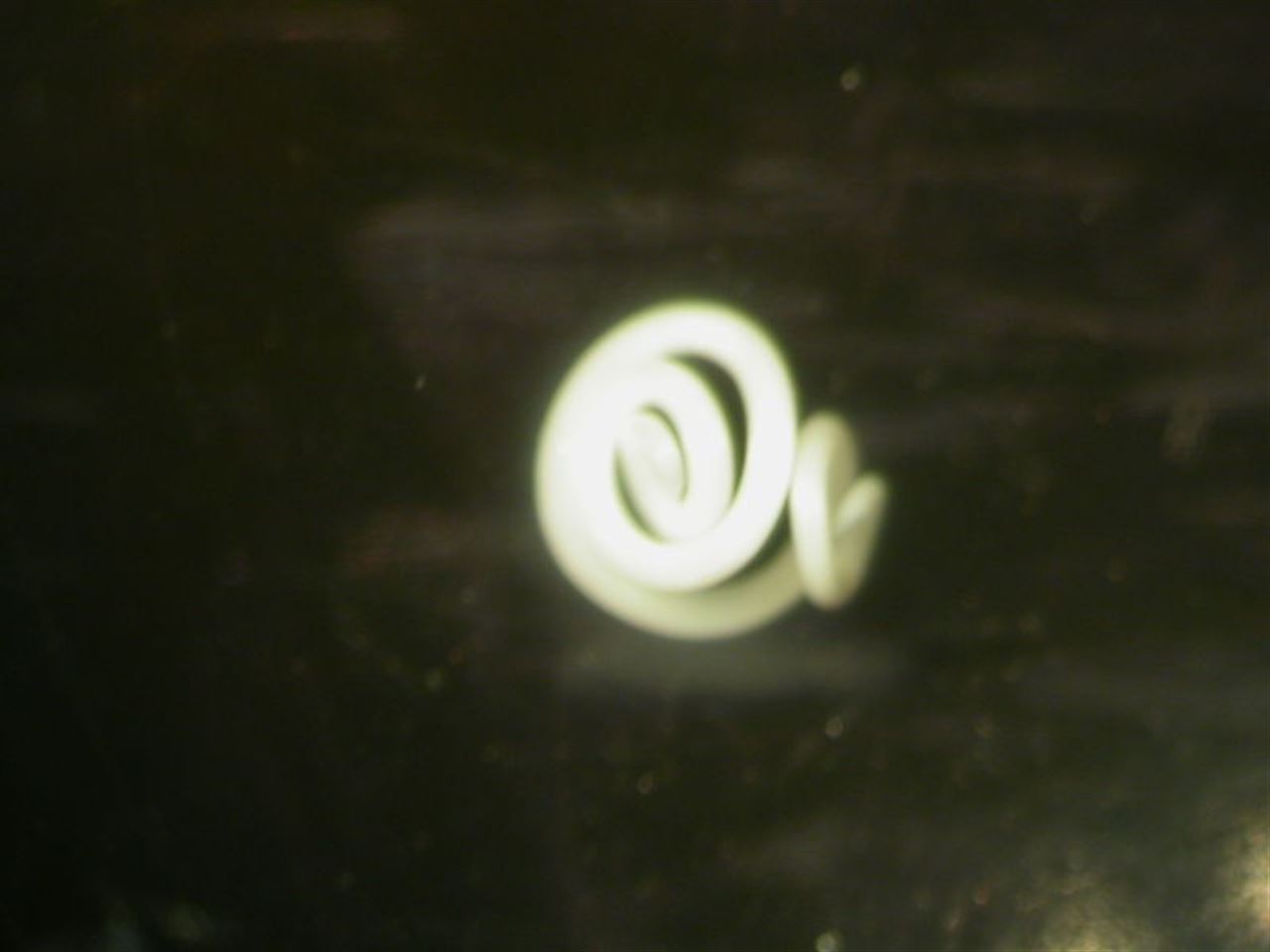 Anisakis y el cáncer gastrointestinal