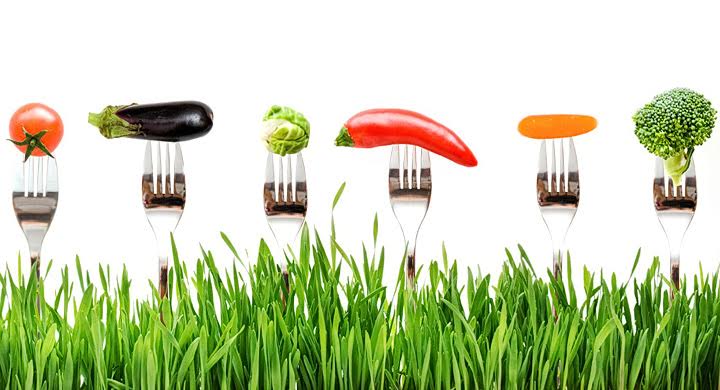 Especial Alimentos Ecológicos 2017/2018