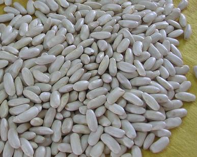 La faba asturiana fresca