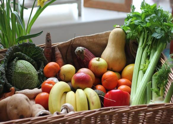 Por una alimentación y una agricultura libres de transgénicos