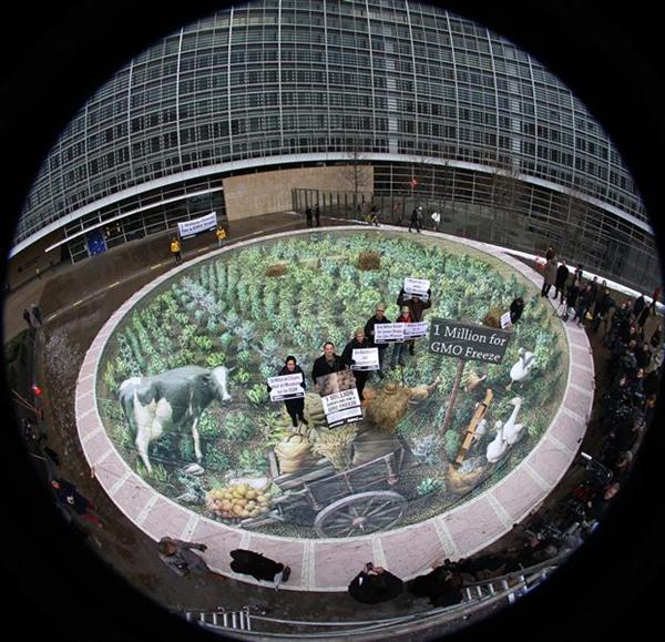 El Parlamento Europeo refuerza el derecho de los Estados a prohibir los cultivos de transgénicos