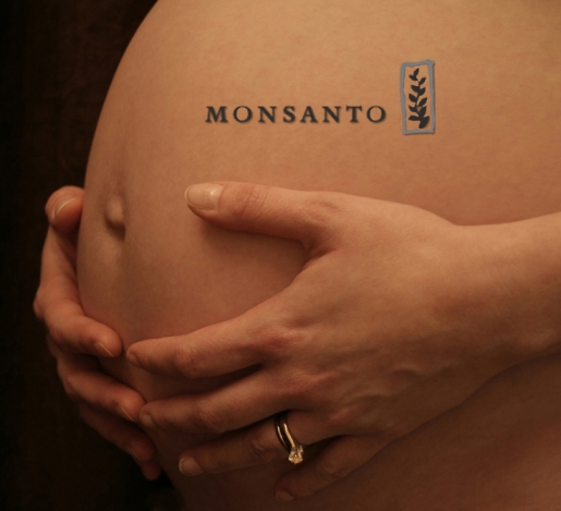 Transgénicos. EEUU contra Montsanto