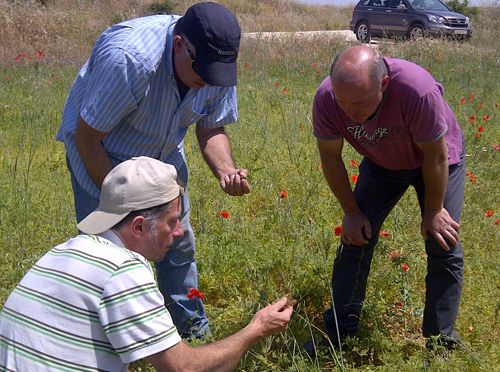 LIFE + Experto en suelos visita el proyecto