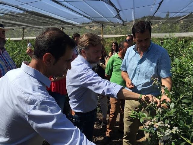 La Junta de Andalucía quiere investigar en producciones agrícolas para un desarrollo sostenible