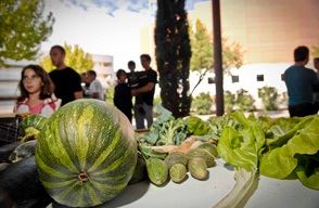 Madrid. El Parque Agroecológico de Rivas creará 77 nuevos empleos verdes gracias a un proyecto pionero en la región