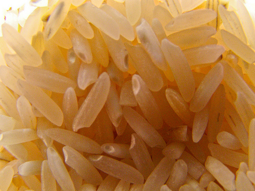 Andalucía presenta su primer arroz ecológico