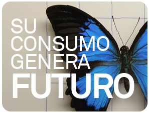 El nuevo servicio de consumo responsable de Triodos Bank