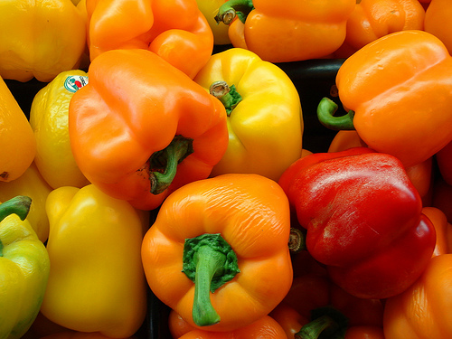 Centro de formación juvenil de la agricultura sostenible