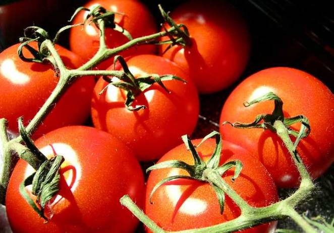 La agricultura orgánica ‘is different’