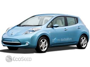 Environment worries to lift electric car sales – report