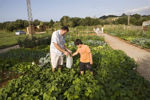 Camargo organiza un taller artesanal de cocina con alimentos de agricultura ecológica