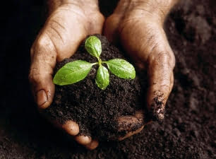 Qué conoces sobre la agricultura ecológica