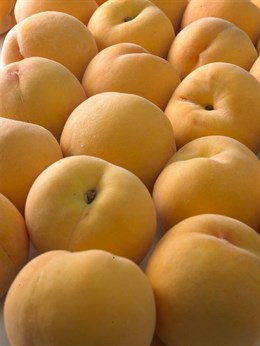 La Comisión Europea amplía en 20.000 toneladas los cupos de retirada de fruta de hueso