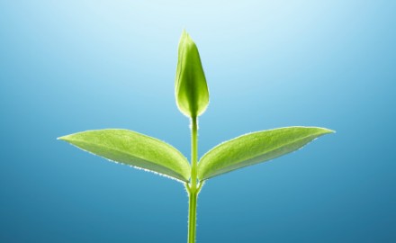 La Red Natura 2000 ofrece prácticas agrarias más sostenibles