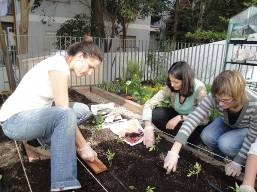 Aprende a construir tu propio huerto urbano