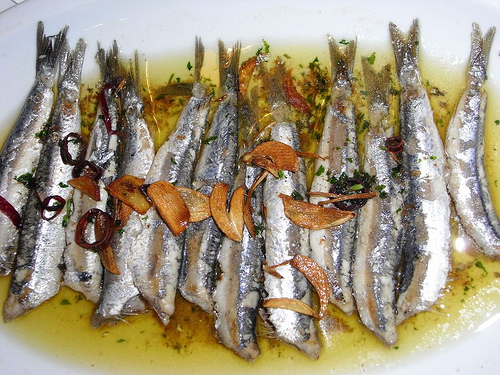 Bruselas propone que prosiga la veda de la anchoa y que las capturas de la merluza del norte se reduzcan  10%