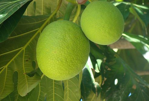 SA2Pe abre una frutería en Barcelona con el concepto ecológico kilómetro cero