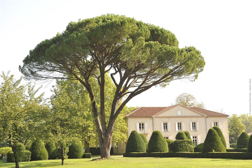 La clave de un cabello sano y bonito está en los activos más ricos de la naturaleza
