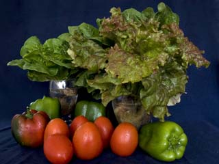 Crean en el DF mercados de alimentos orgánicos