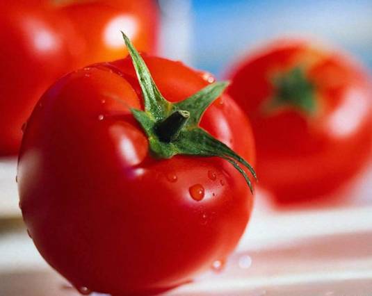 Biosabor crece exponencialmente con sus productos basados en el tomate ecológico