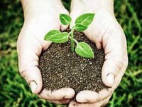 La agricultura española cada vez consume menos energía y agua y emite menos gases