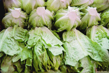 Premio a un proyecto de horticultura a través de las nuevas tecnologías