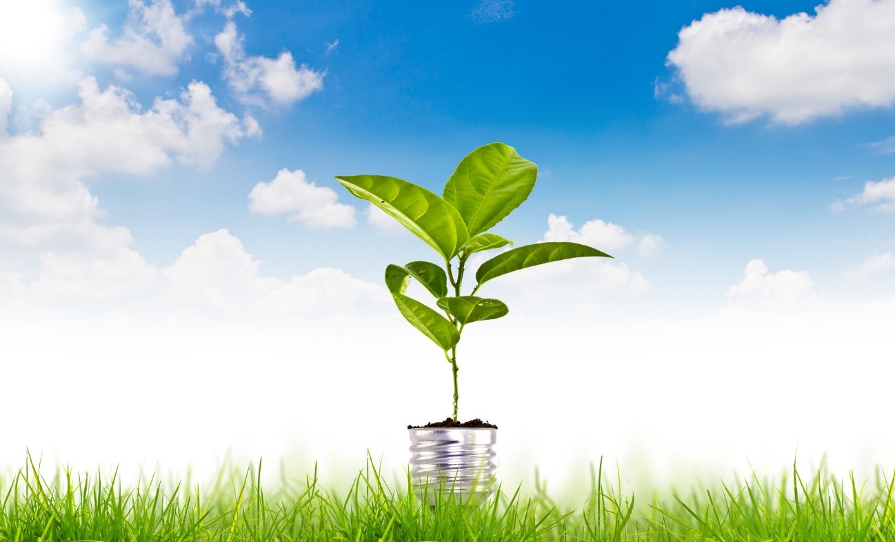 Tres formas de potenciar las innovaciones ‘verdes’