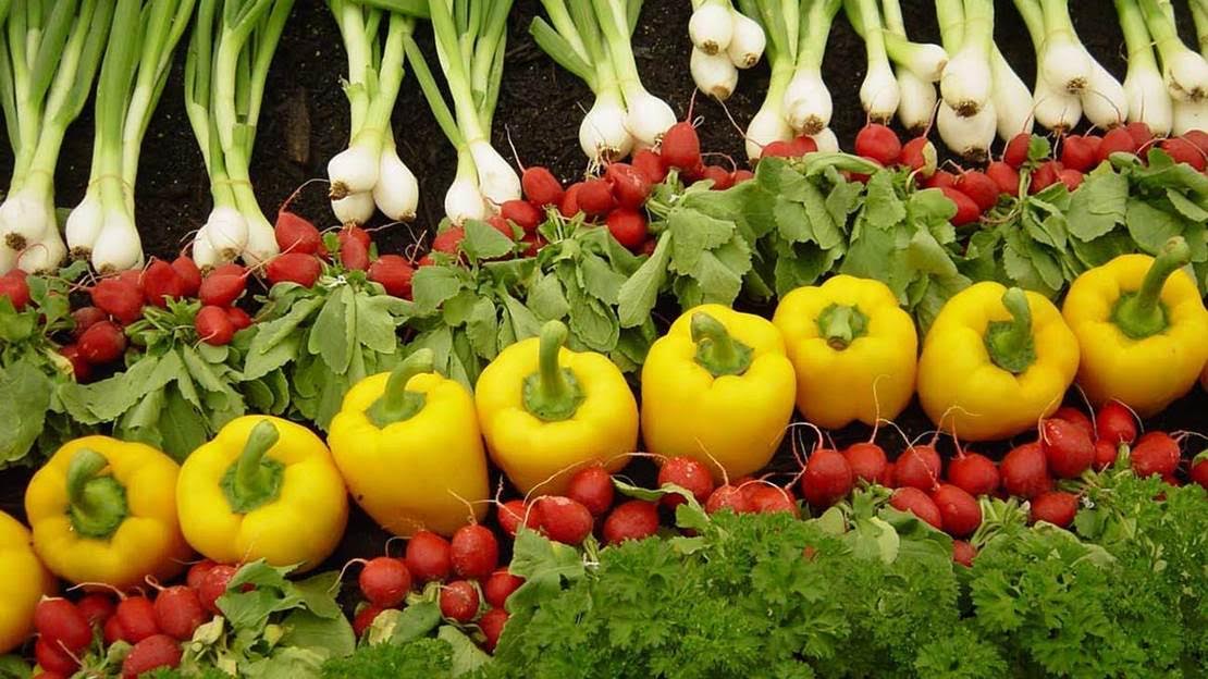 La Eurocámara respalda las nuevas reglas de agricultura ecológica