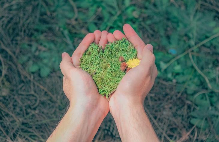 Postgrado en comunicación y educación ambiental