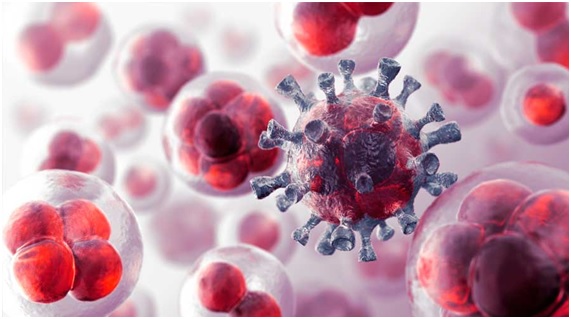 Glifosato: causa cáncer o no