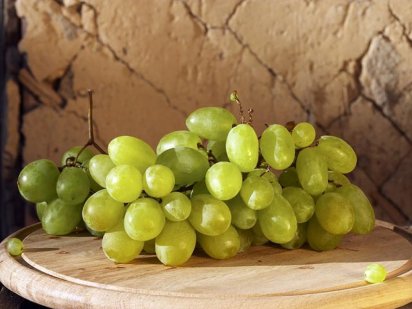 Recuperan uvas capaces de reinventar el sector vinícola