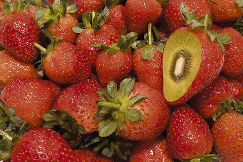 El futuro robado a la humanidad