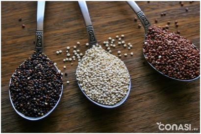 Variedades y propiedades de la quinoa