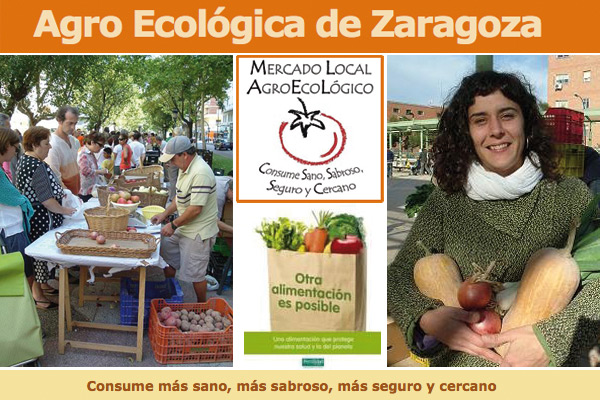 Más ecológicos cada vez