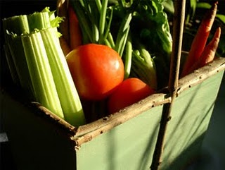 PAC: Ciolos promete medidas específicas para el sector ecológico