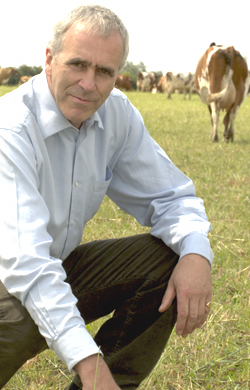 Dimite Patrick Holden