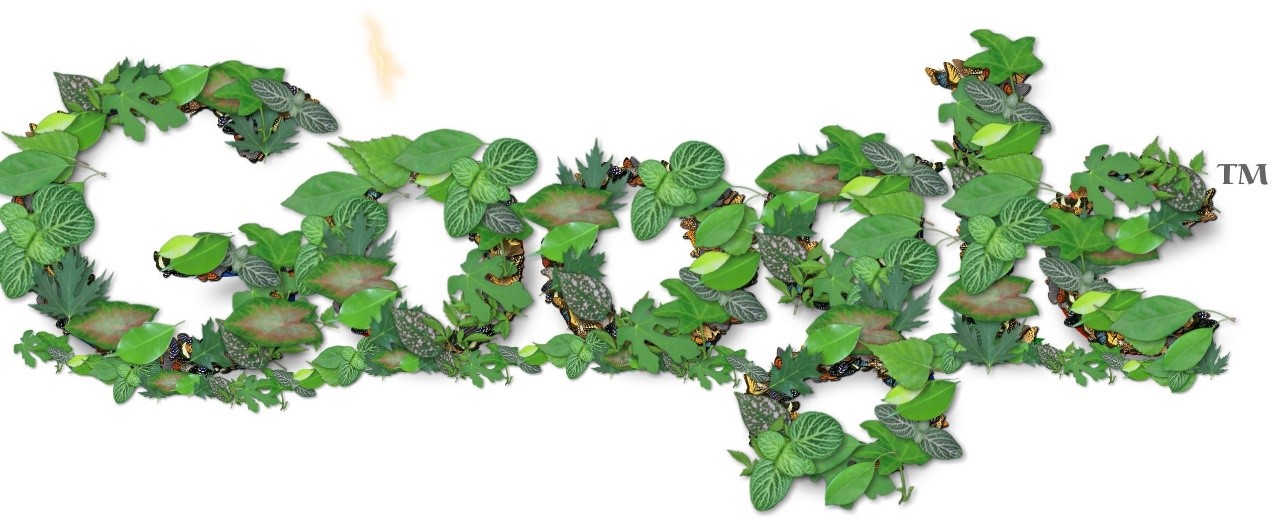 Google y su empleo de las tecnologías verdes