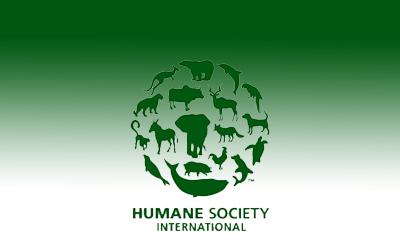 Día Mundial del Huevo Resalta la Creciente Popularidad de los Huevos de Pastoreo