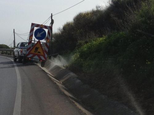 Productores agrarios ecológicos de Baleares piden que se deje de fumigar en los lados de las carreteras